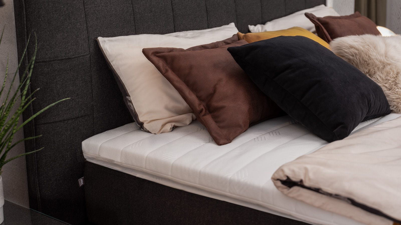 3xl-FB_Nirina_NTBO19_D4