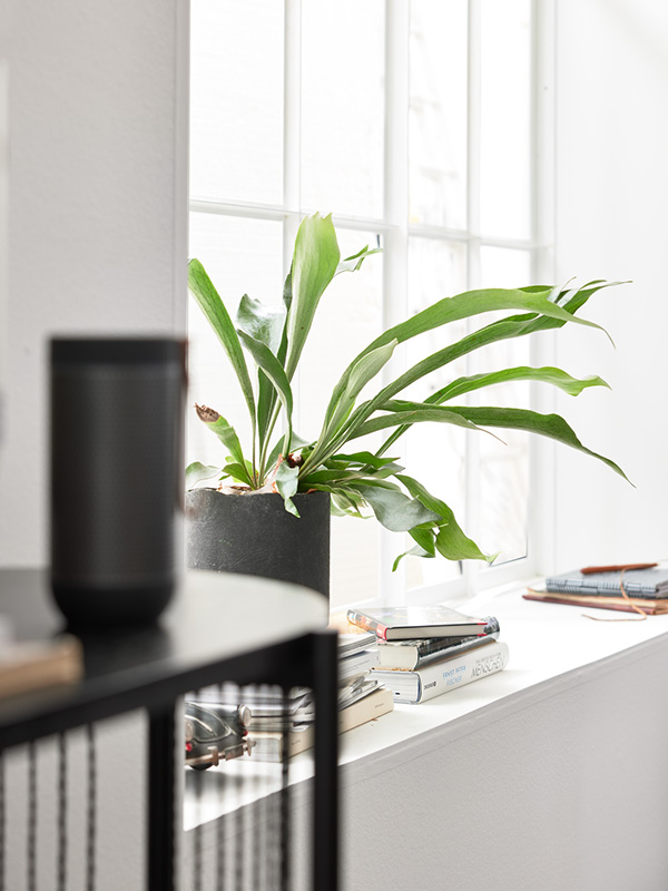 Esszimmer mit Essgruppe VITO