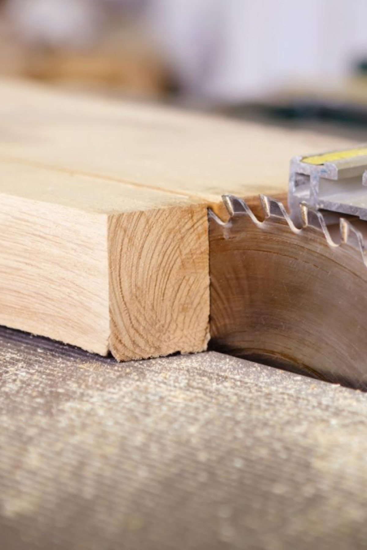 ADA . Mindful Living – Stilvoll, modern und nachhaltig produziert in Österreich