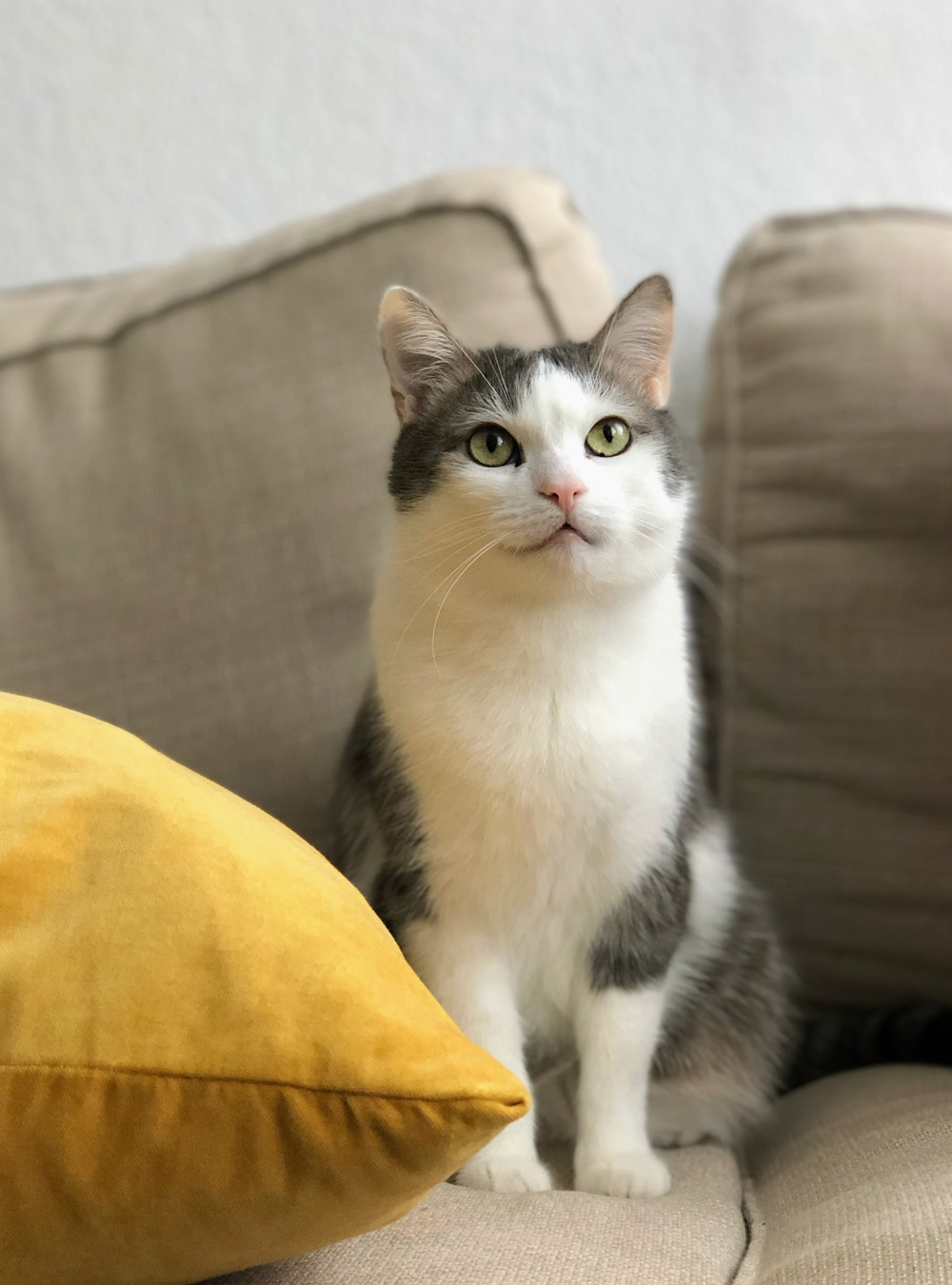 hendrik-kilimann-U_wL_gbaIjc-unsplash