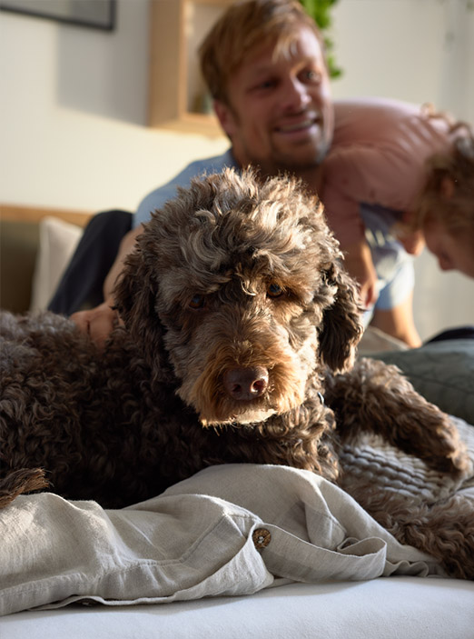 Massiholz Demadra Bett von ADA . Mindful Living – Modern und nachhaltig Massivholzbett Demadra für die ganze Familie - modern und nachhaltig gefertigt von ADA Möbel