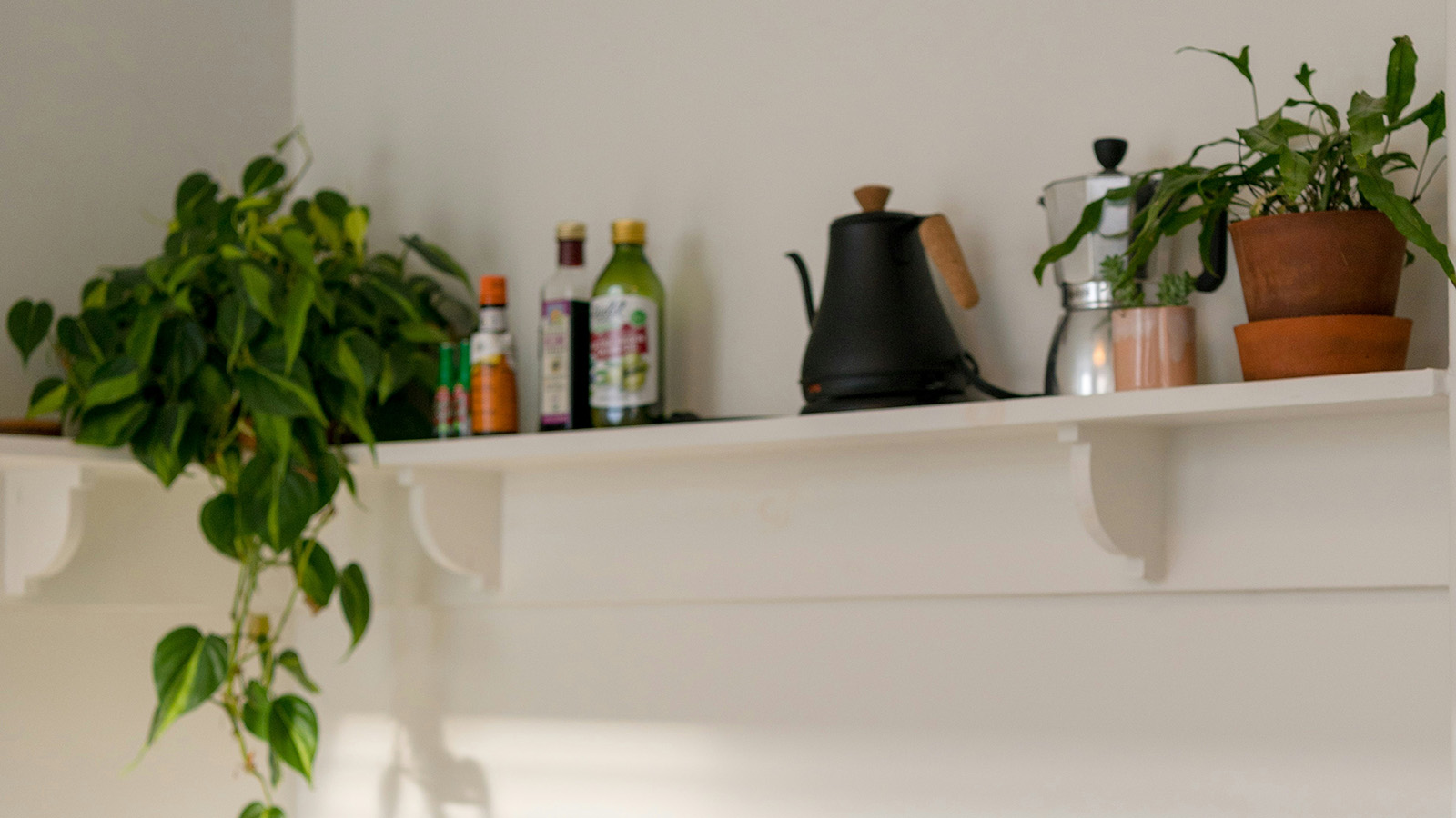 Hängepflanzen in der Küche Hängepflanzen in der Küche