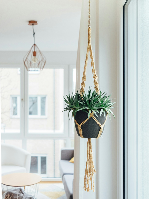 Pflanzen-Aufhängung Pflanzen-Aufhängung