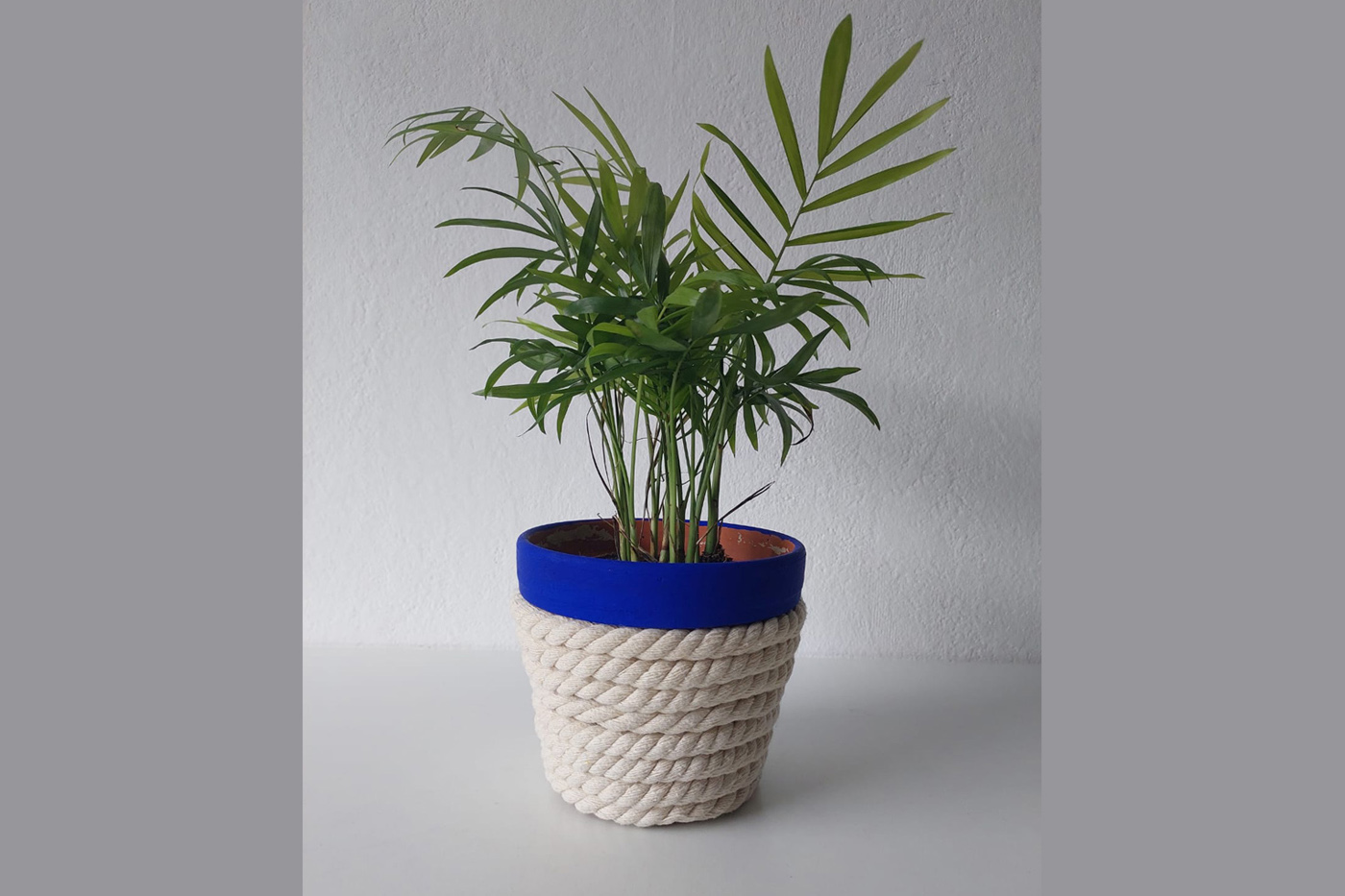 DIY Kordel Blumentopf